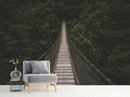 photo-wallpaper-exciting-bridge