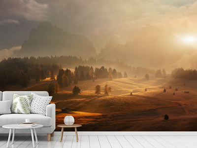 photo-wallpaper-morning-on-alpine-meadow-x