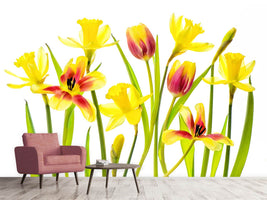 photo-wallpaper-vibrant-spring-x