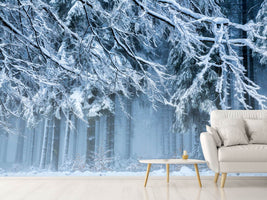 photo-wallpaper-snowworld-x