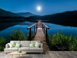 photo-wallpaper-one-night-at-full-moon