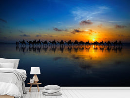 photo-wallpaper-sunset-camel-ride