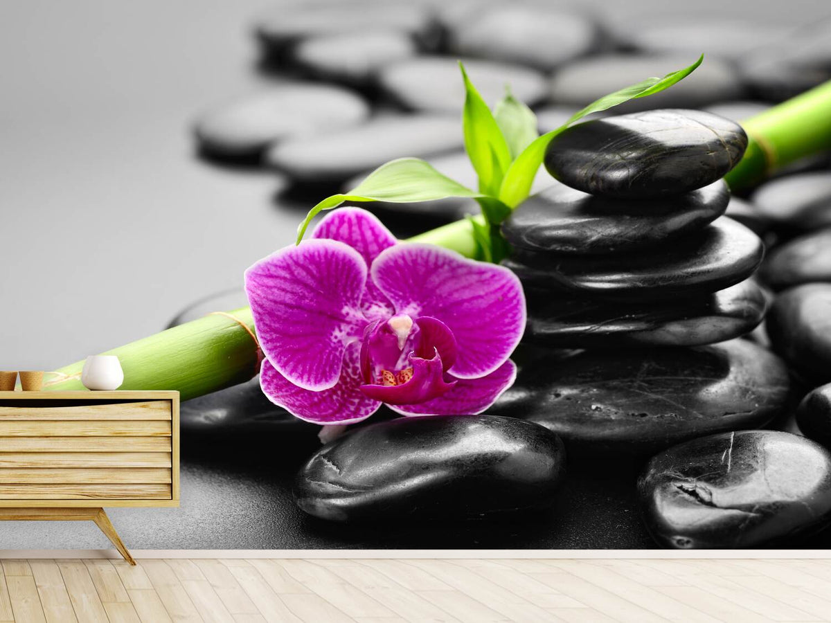 photo-wallpaper-feng-shui-orchid