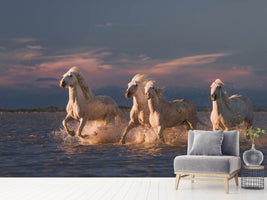 photo-wallpaper-angels-of-camargue