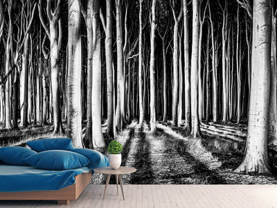 photo-wallpaper-ghost-forest