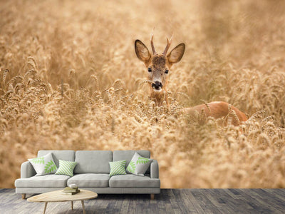 photo-wallpaper-deer-in-the-field-x