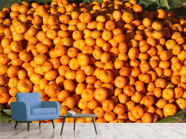 photo-wallpaper-fresh-mandarins