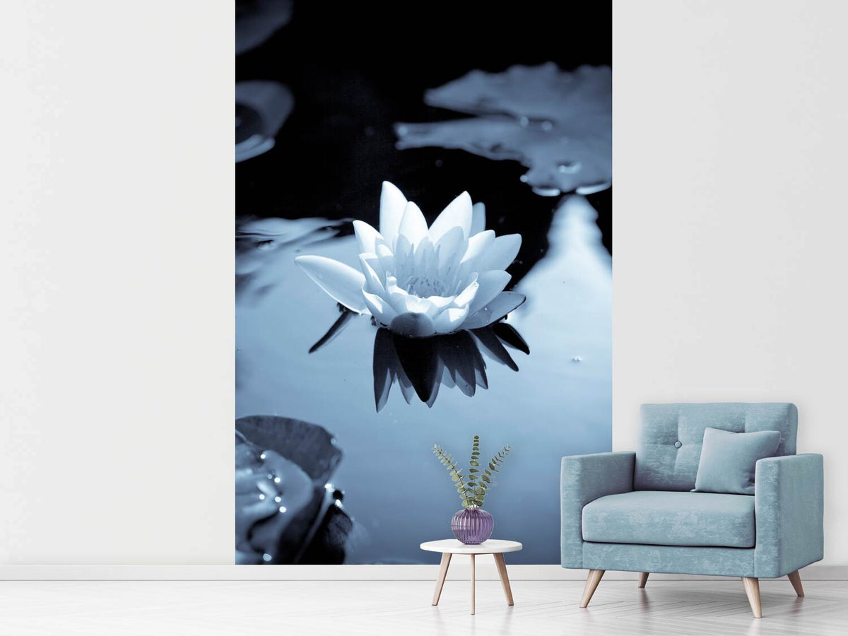 photo-wallpaper-black-and-white-photograph-waterlily