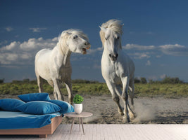 photo-wallpaper-white-horses-x