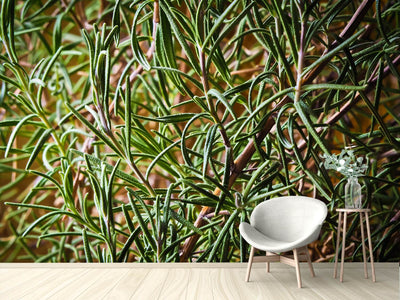 photo-wallpaper-rosemary-xxl