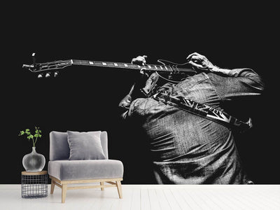 photo-wallpaper-the-guitar-game