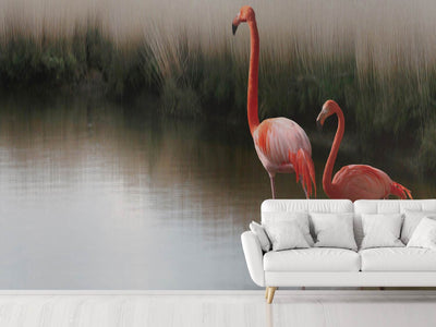 photo-wallpaper-red-flamingo-ii