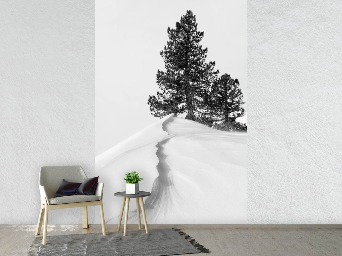 photo-wallpaper-about-the-snow-and-forms