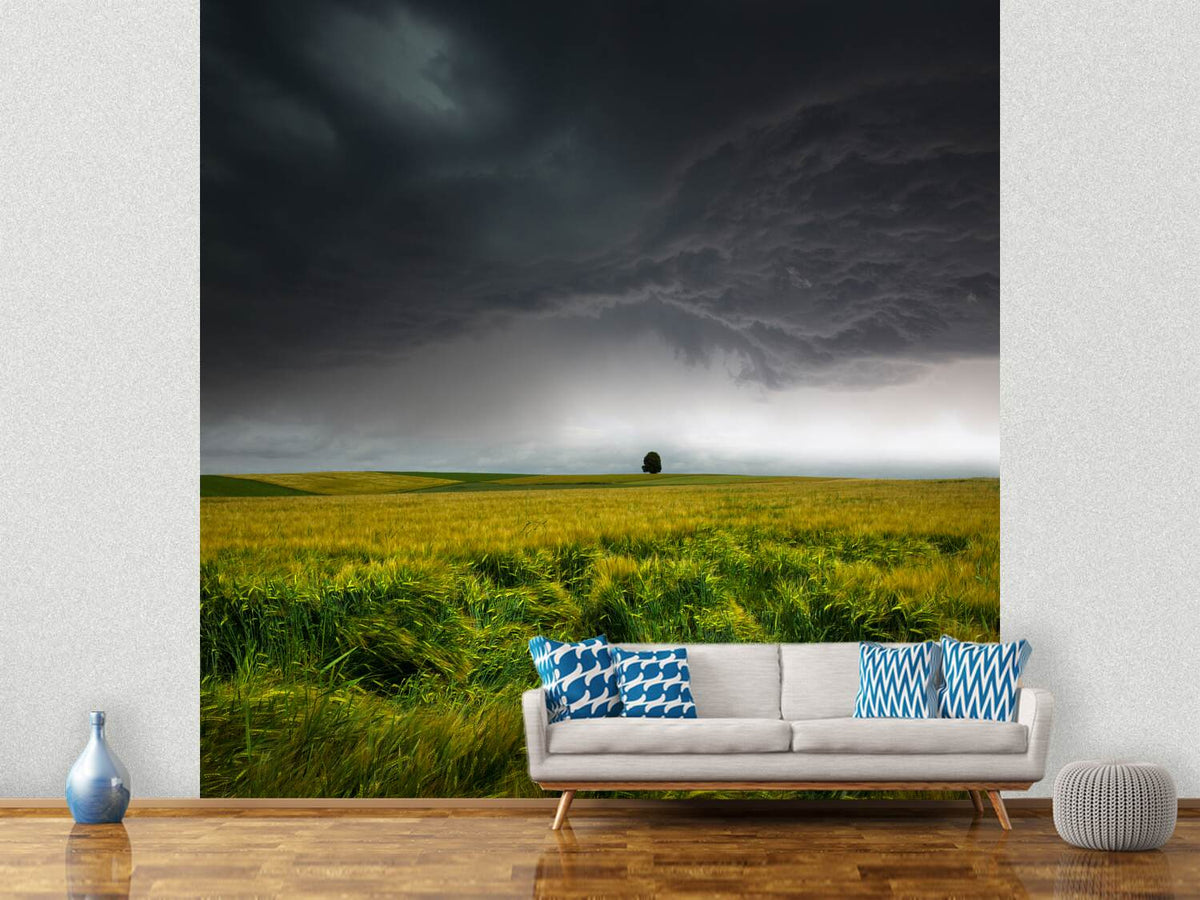 photo-wallpaper-sommergewitter