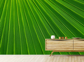 photo-wallpaper-palm-stripe-i