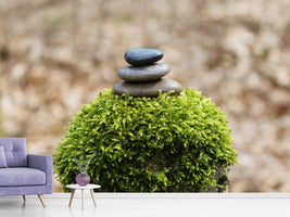 photo-wallpaper-stone-pile-on-plant