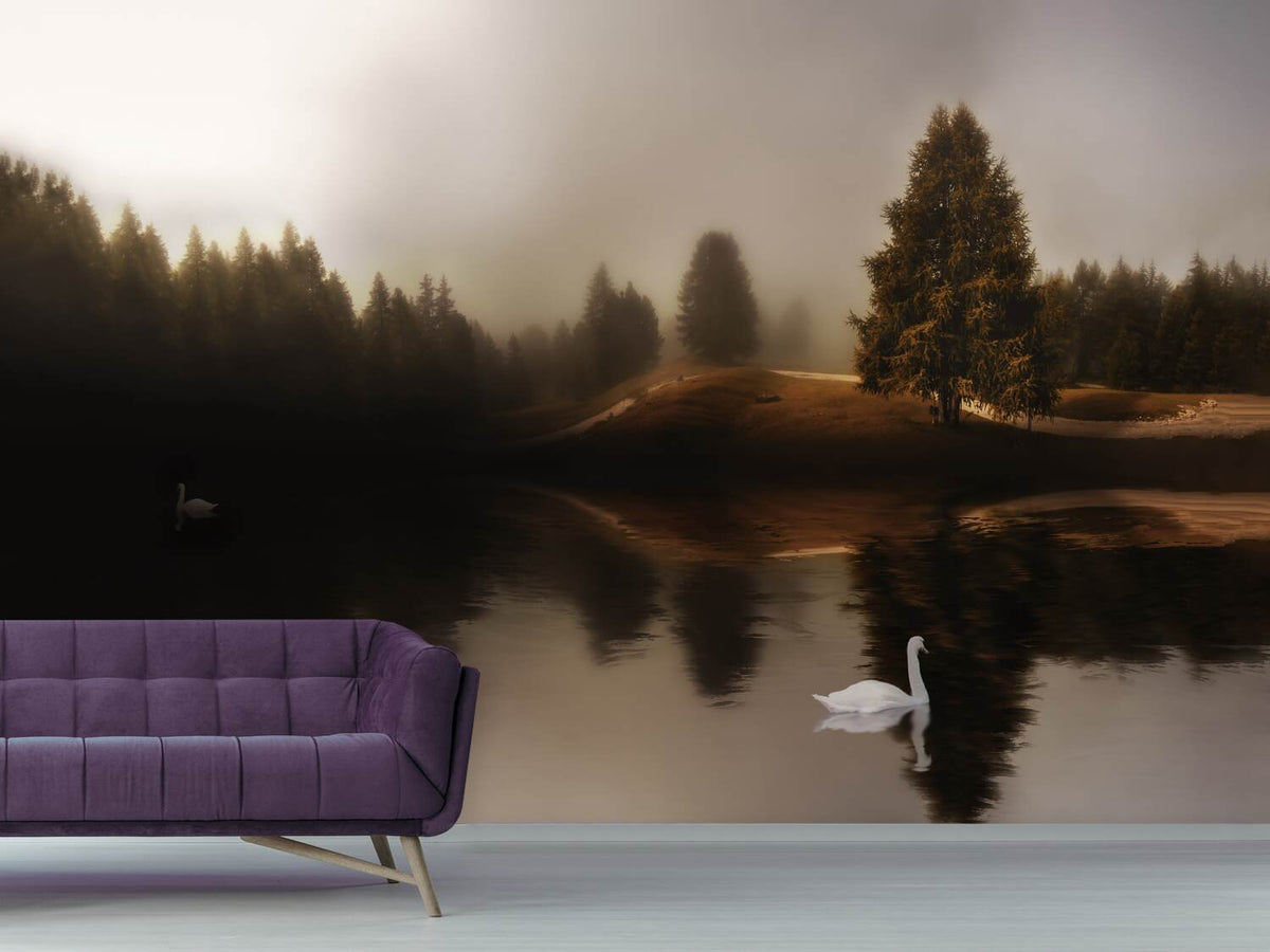 photo-wallpaper-swan-lake-xod