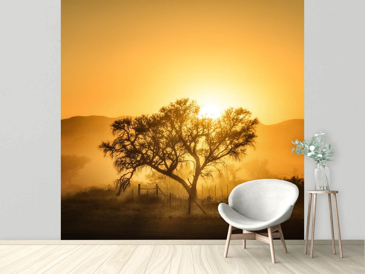 photo-wallpaper-golden-sunrise