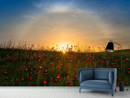 photo-wallpaper-red-poppies-and-sunrise