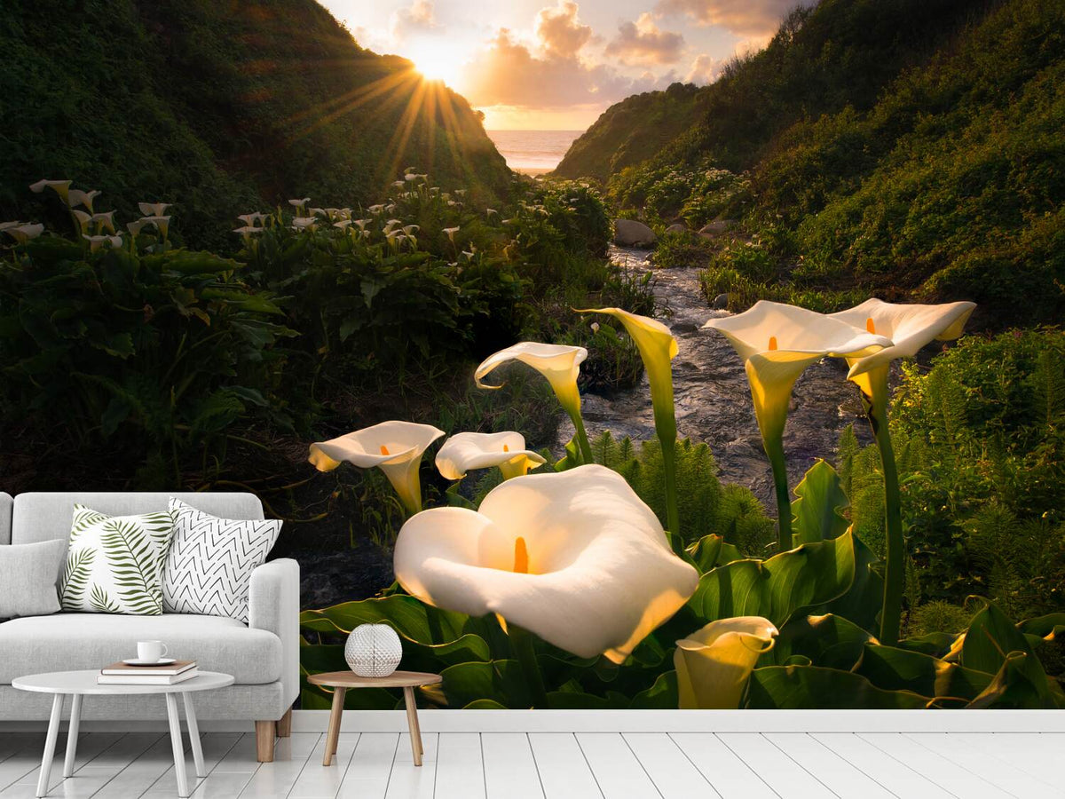 photo-wallpaper-calla-lily-world-x