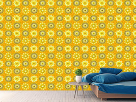 patterned-wallpaper-circles-in-the-sunlight