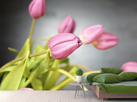 photo-wallpaper-the-tulip-bouquet-in-pink