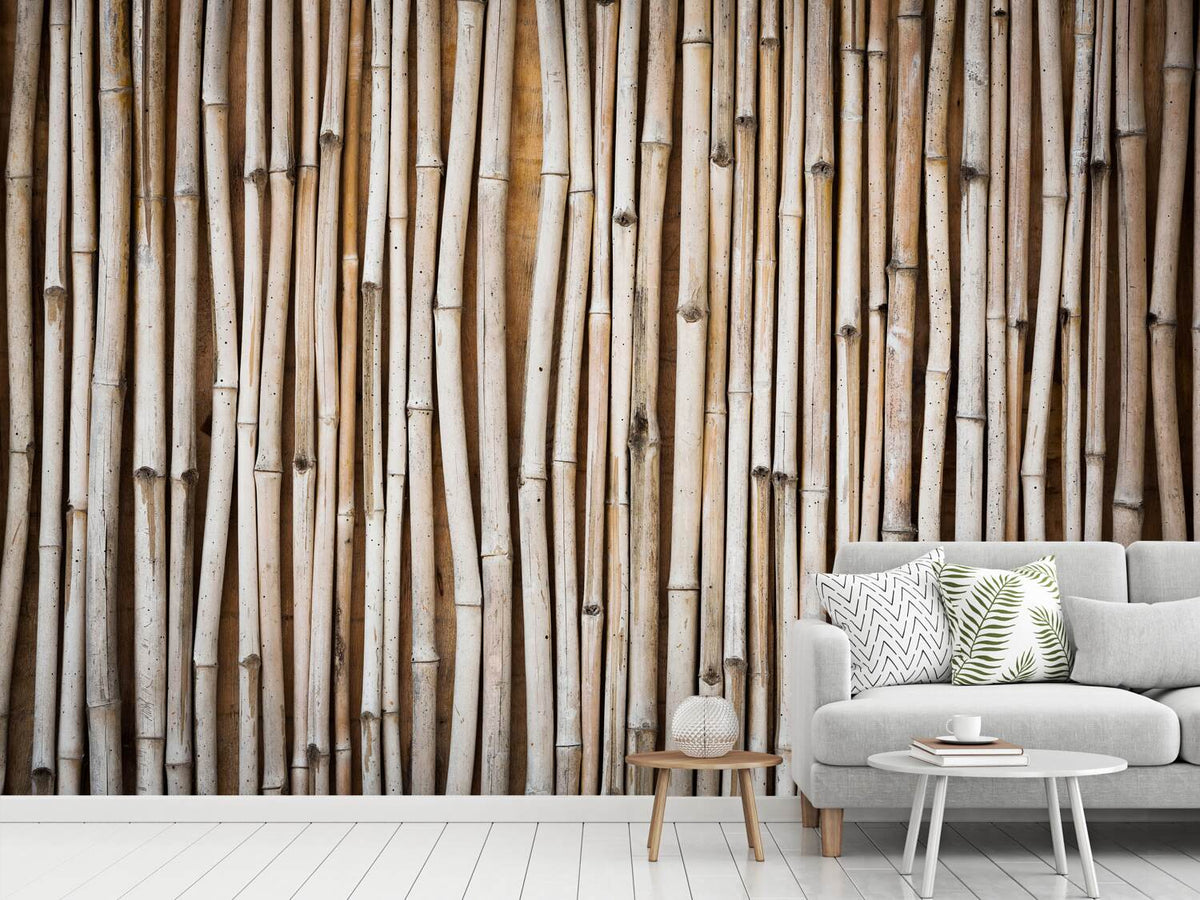 photo-wallpaper-dried-bamboos