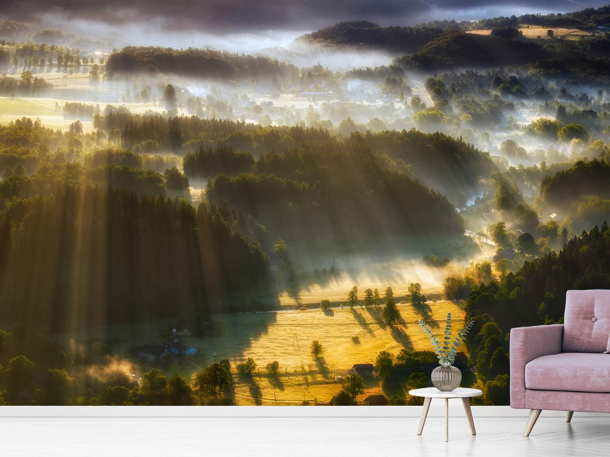 photo-wallpaper-in-the-morning-mists-x