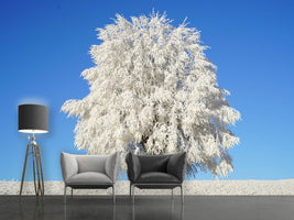 photo-wallpaper-winter-tree