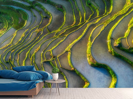 photo-wallpaper-terraced-fields-x