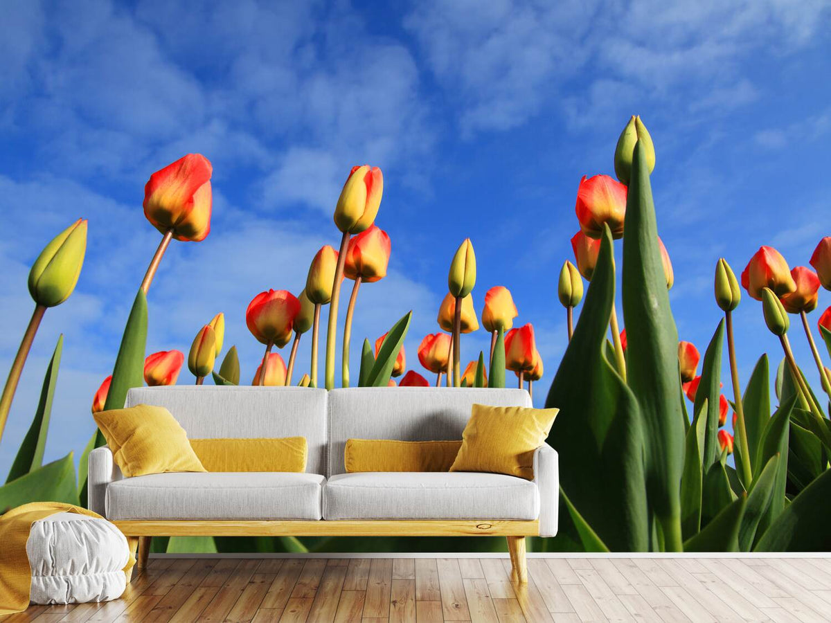 photo-wallpaper-tulips-tower-to-the-sky