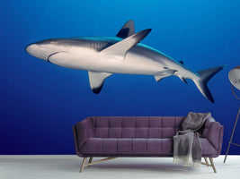 photo-wallpaper-shark-in-the-dark-sea