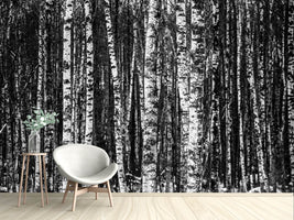 photo-wallpaper-many-birches-xl