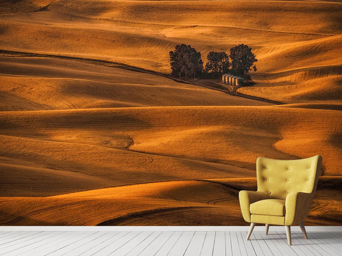 photo-wallpaper-golden-field-x