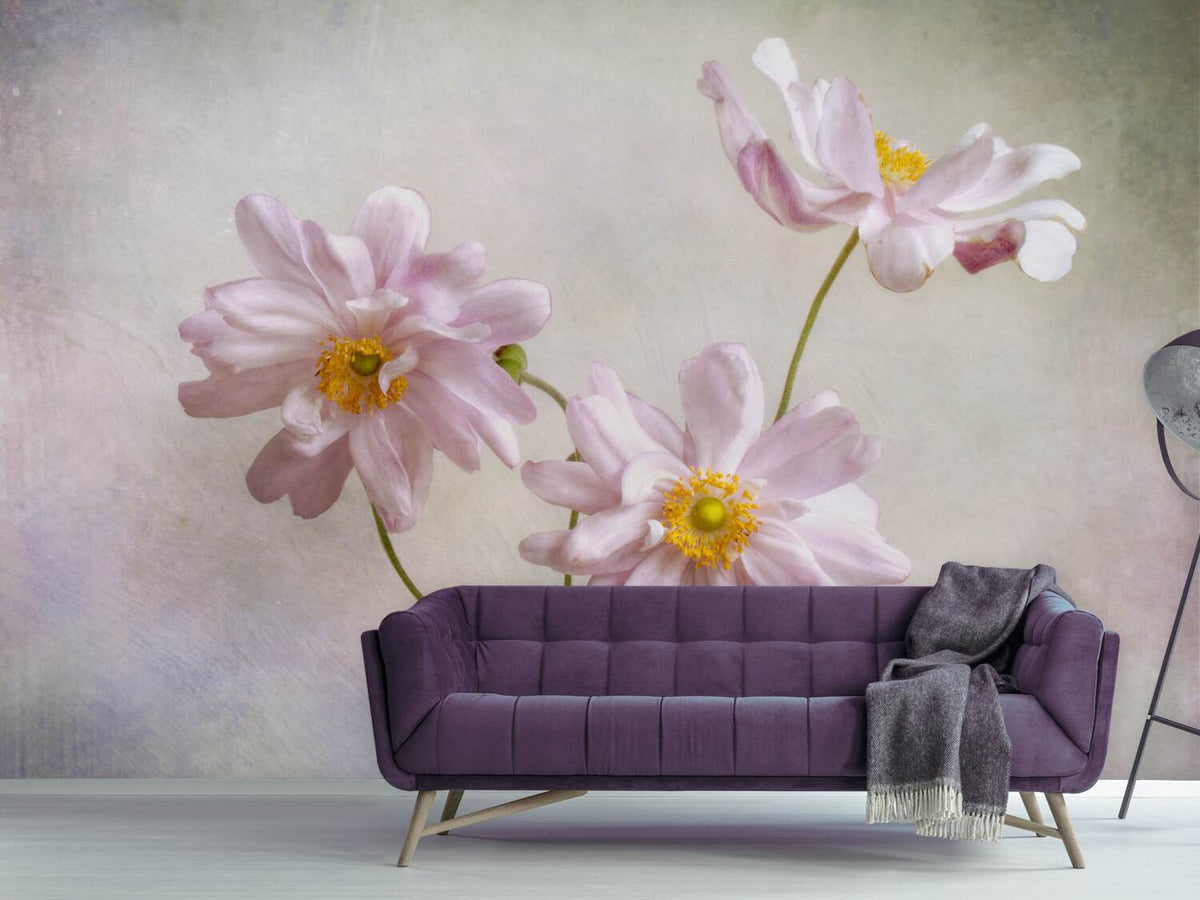 photo-wallpaper-anemones