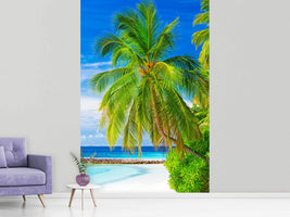 photo-wallpaper-the-palm