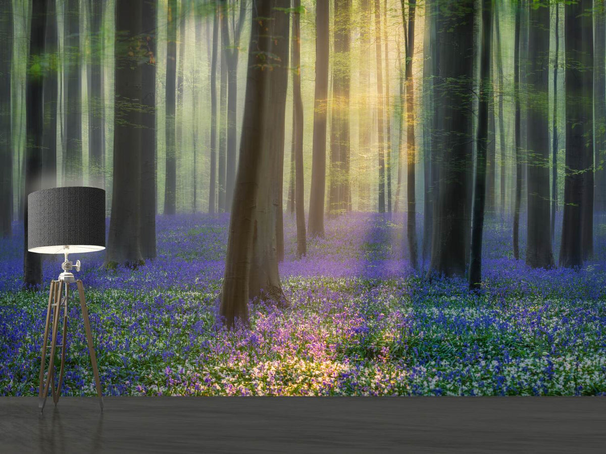 photo-wallpaper-daydreaming-of-bluebells-xfv