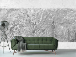 photo-wallpaper-wipe-technique-in-gray-panorama