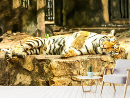 photo-wallpaper-the-siberian-tiger