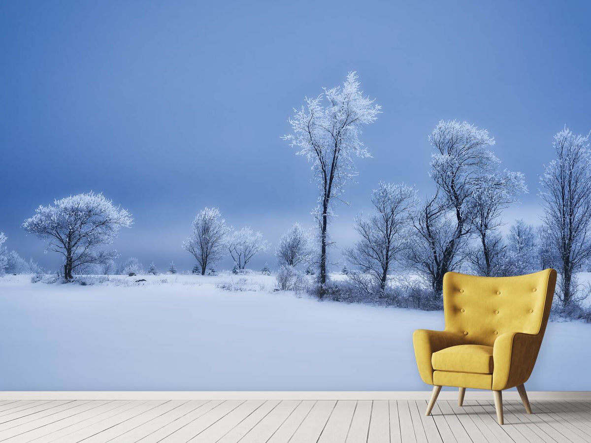 photo-wallpaper-winterland-x