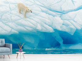 photo-wallpaper-polar-bear