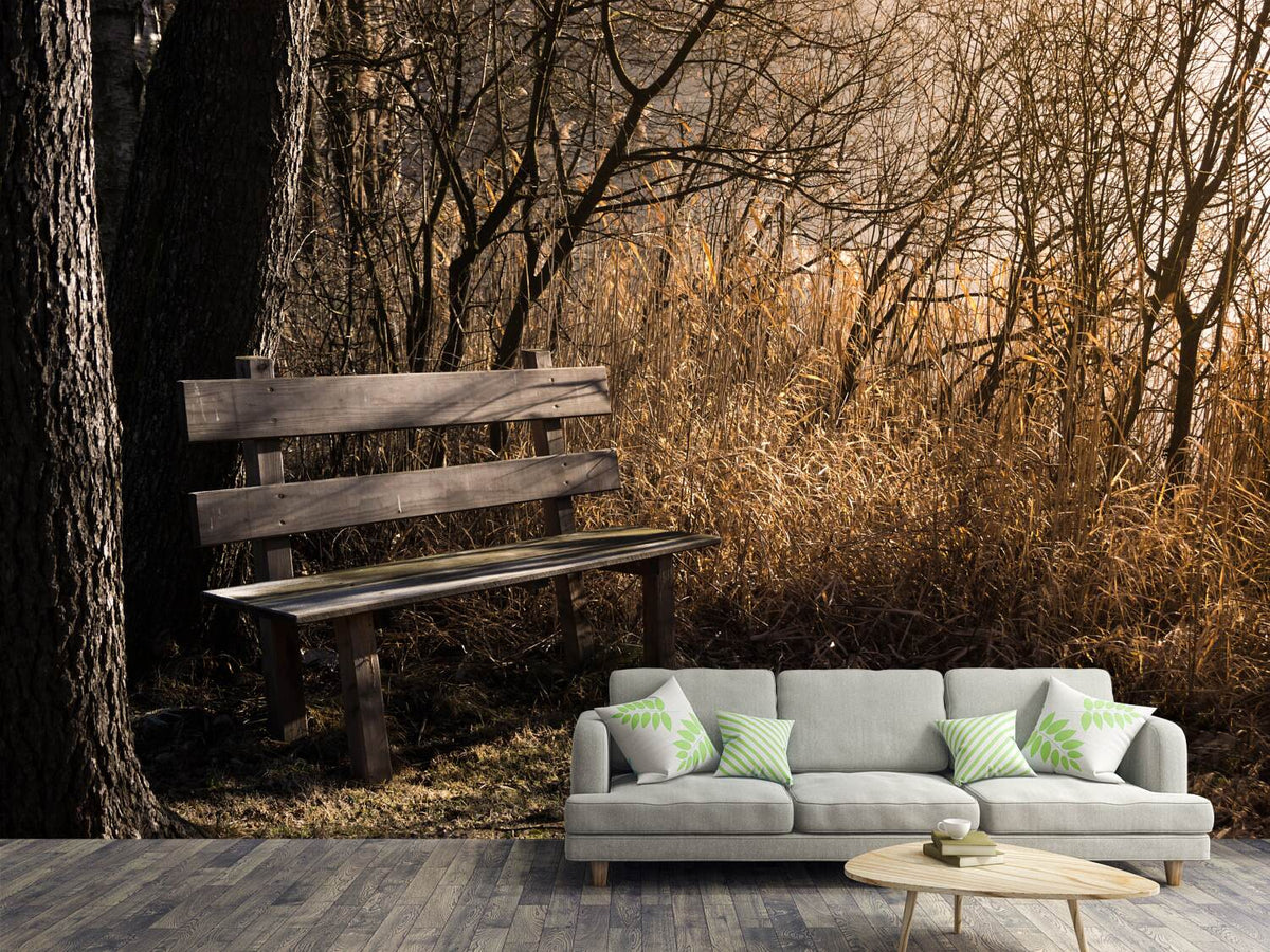 photo-wallpaper-wooden-bench-in-the-forest