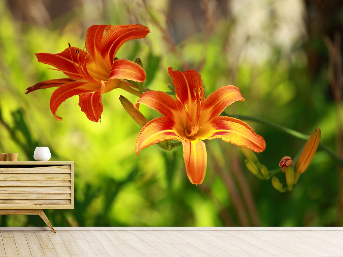 photo-wallpaper-lilies-in-nature