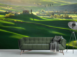 photo-wallpaper-green-waves-x