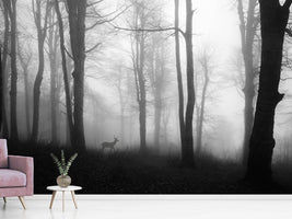 photo-wallpaper-forest-xue