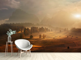 photo-wallpaper-morning-on-alpine-meadow-x