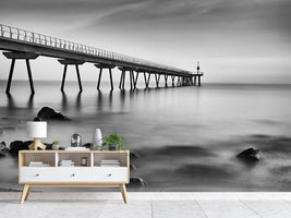 photo-wallpaper-pont-del-petroli-x