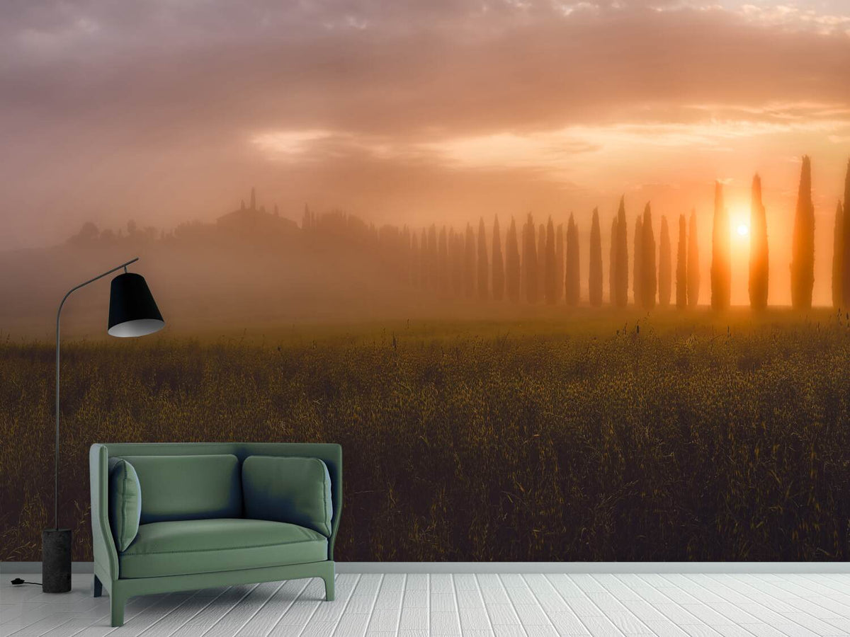 photo-wallpaper-tuscany-sunrising