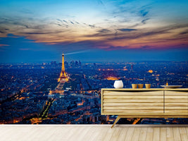 photo-wallpaper-the-eiffel-tower-in-france