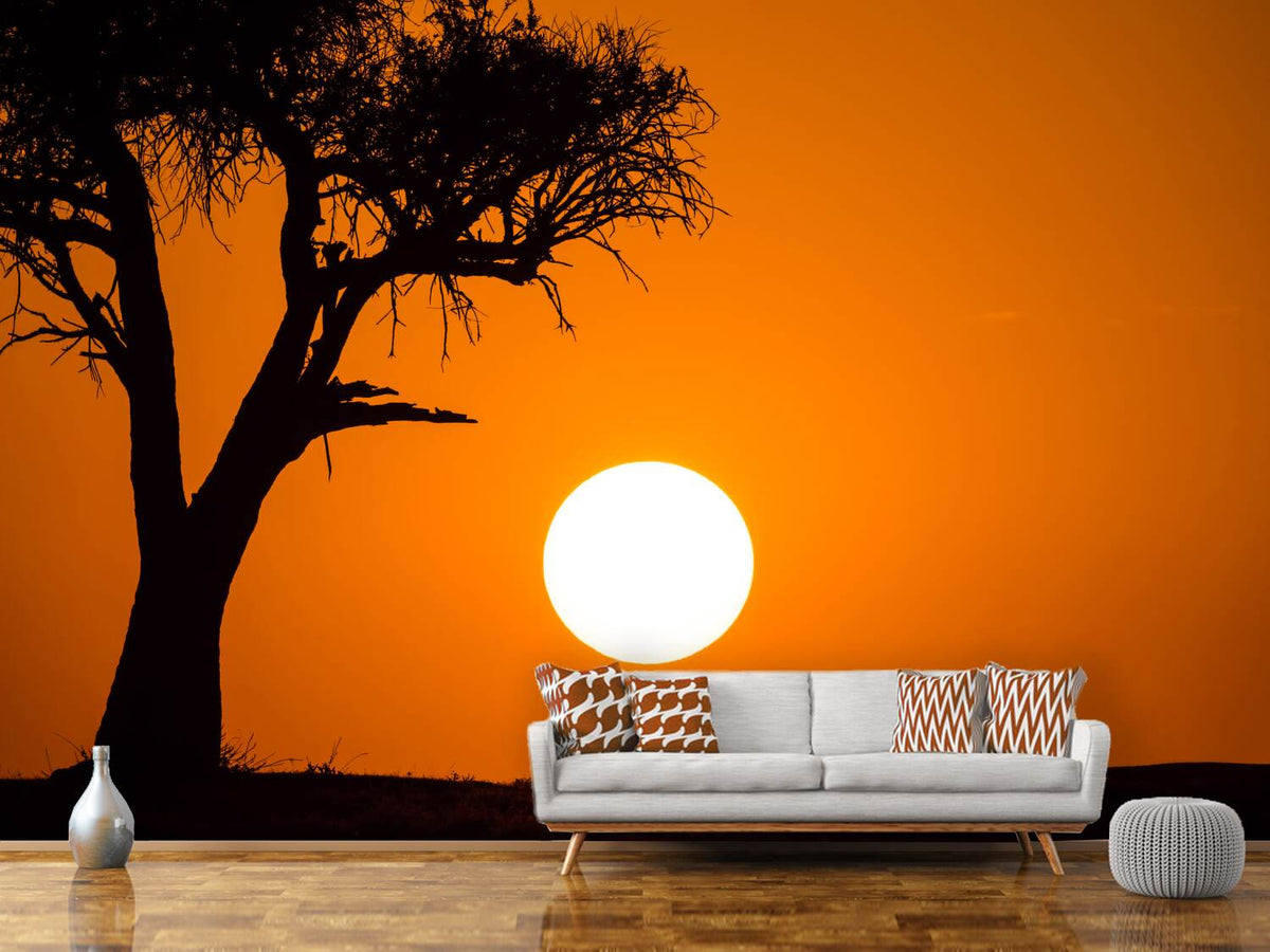 photo-wallpaper-african-sunset-x